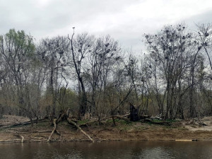 488648538 29827531006834067 2414003404675185932 n 